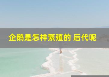 企鹅是怎样繁殖的 后代呢